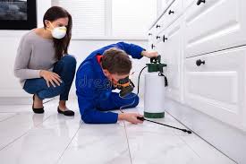 Best Pest Exclusion Services  in Zellwood, FL